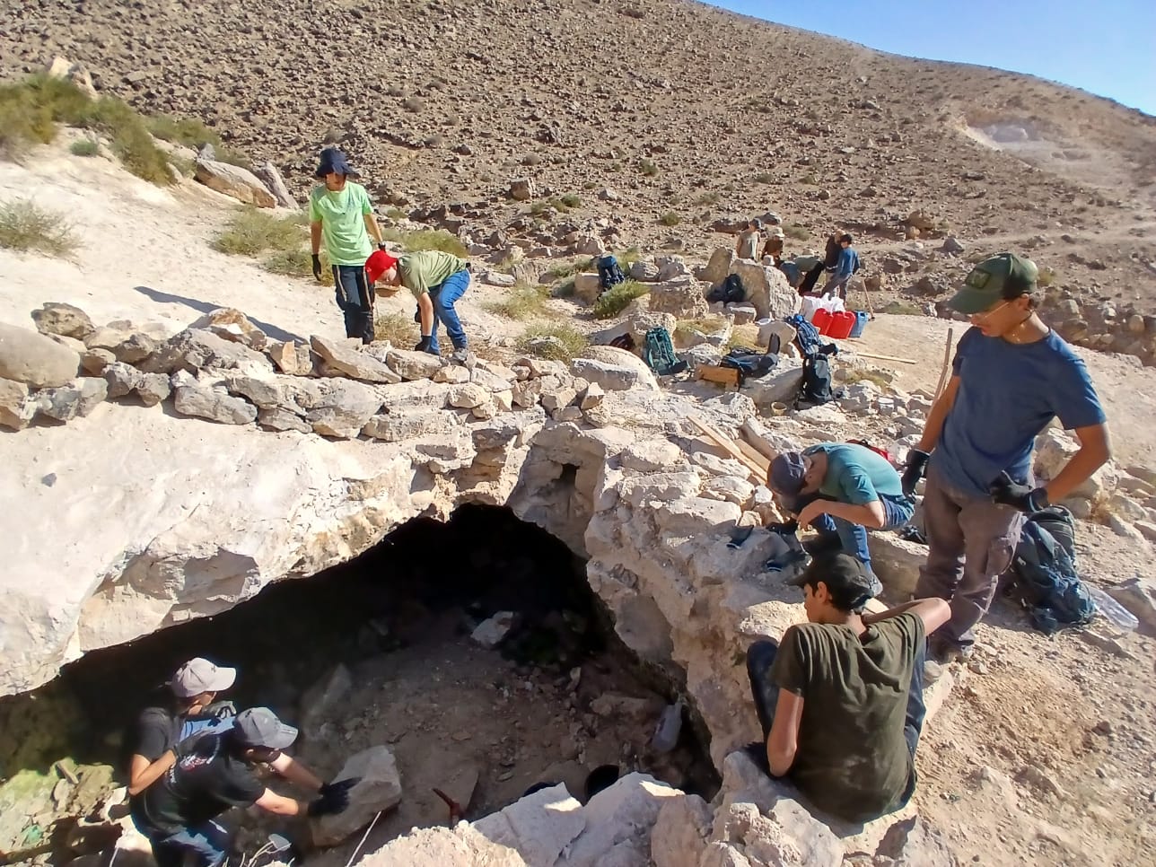 פעילות חברתית